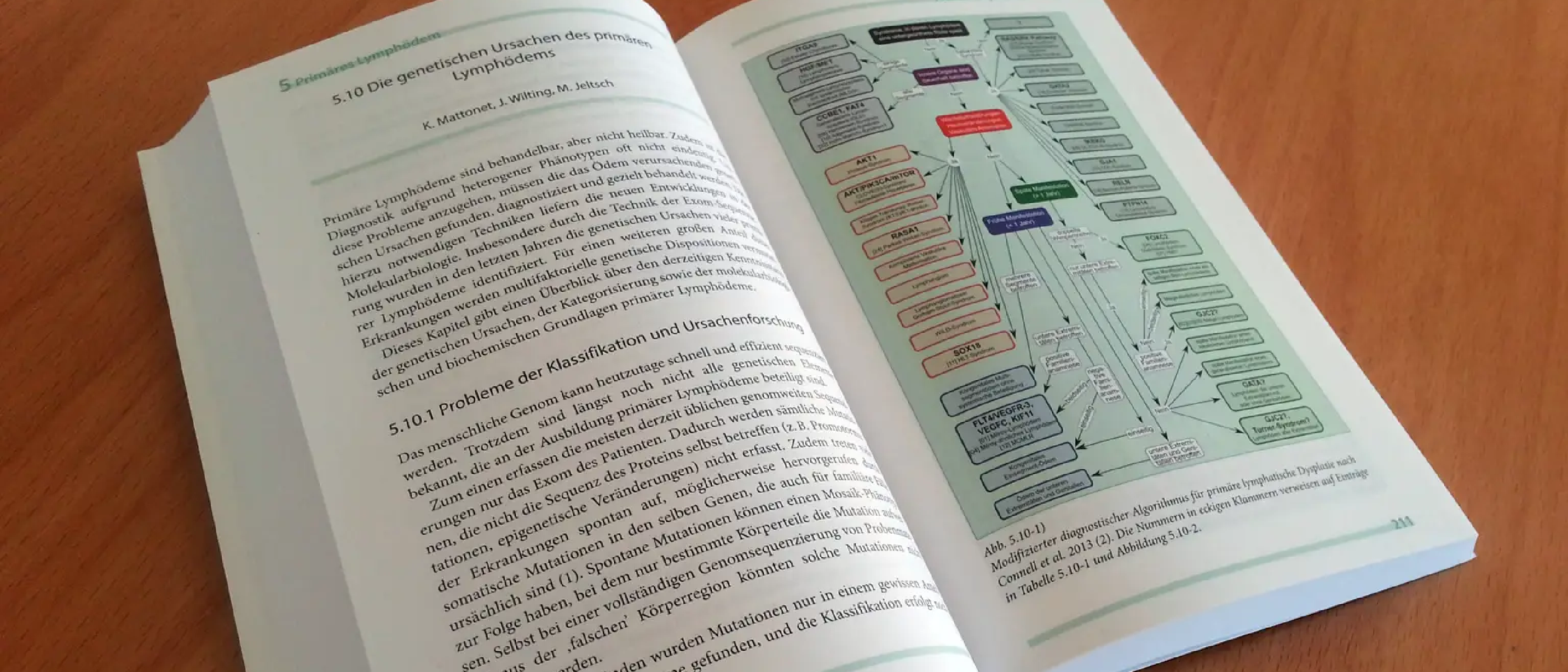 Erkrankungen des Lymphgefäßsystems (Diseases of the Lymphatic System)