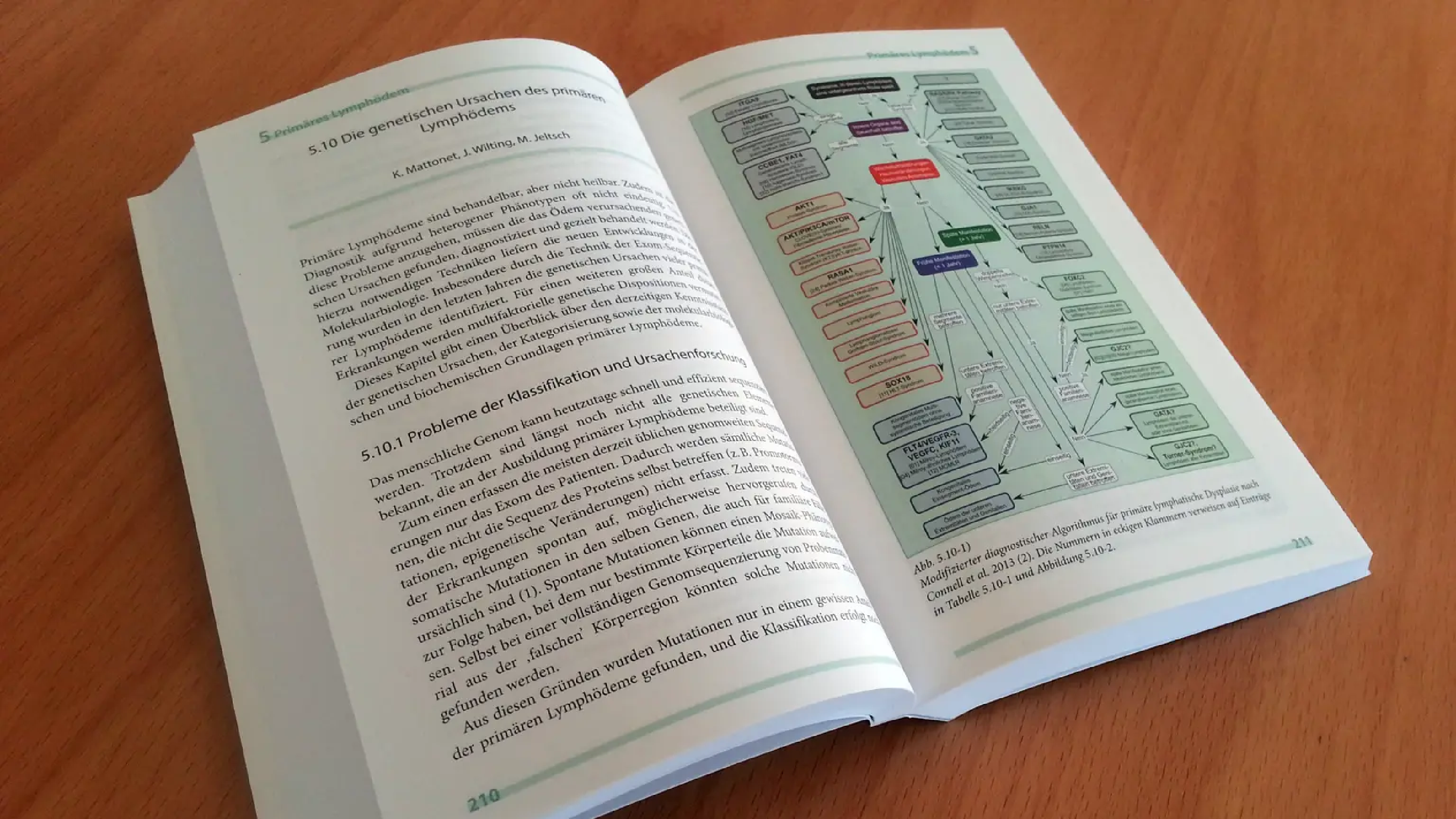 Erkrankungen des Lymphgefäßsystems (Diseases of the Lymphatic System)