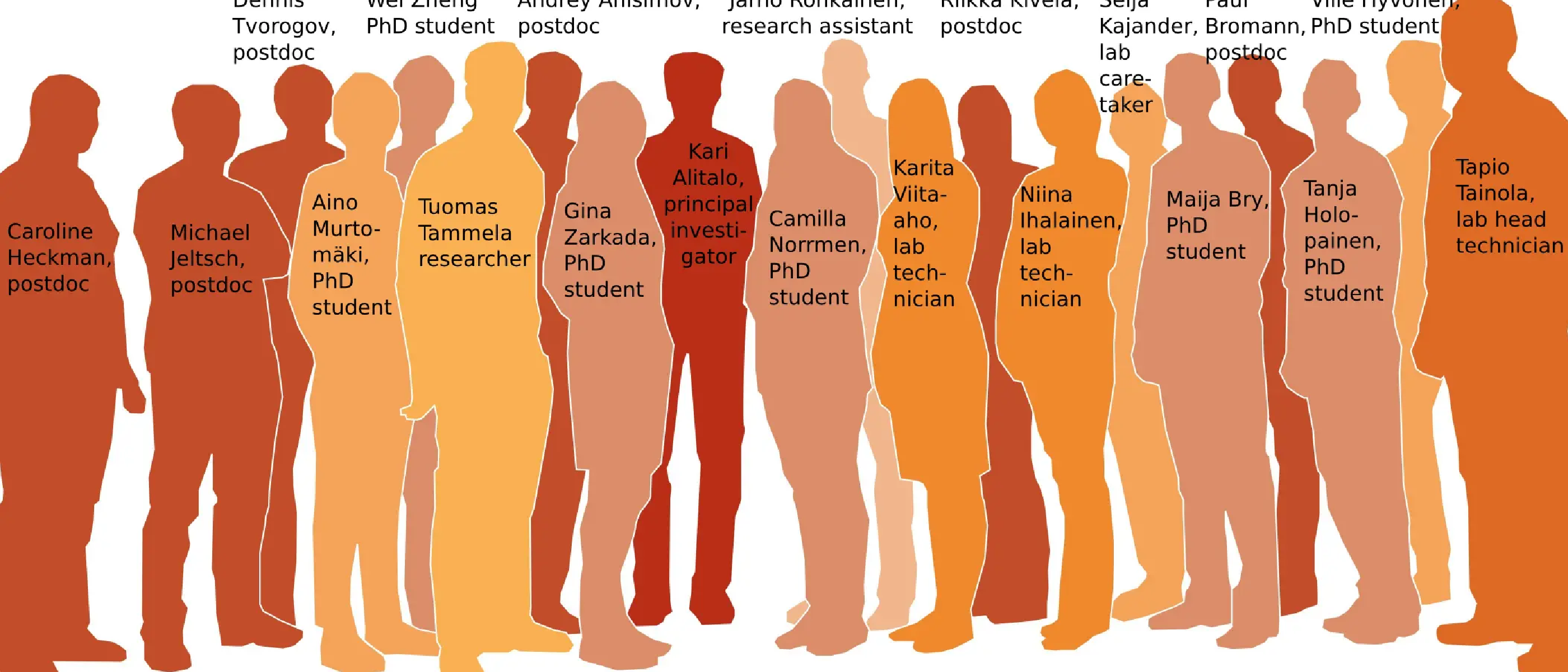 The Molecular/Cancer Biology Lab 2008