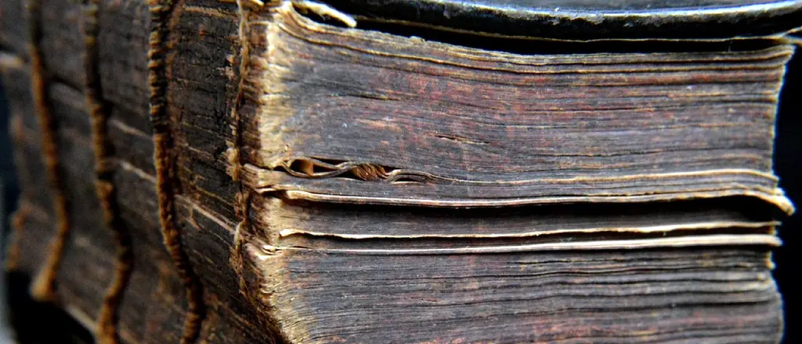 Back to the monograph?