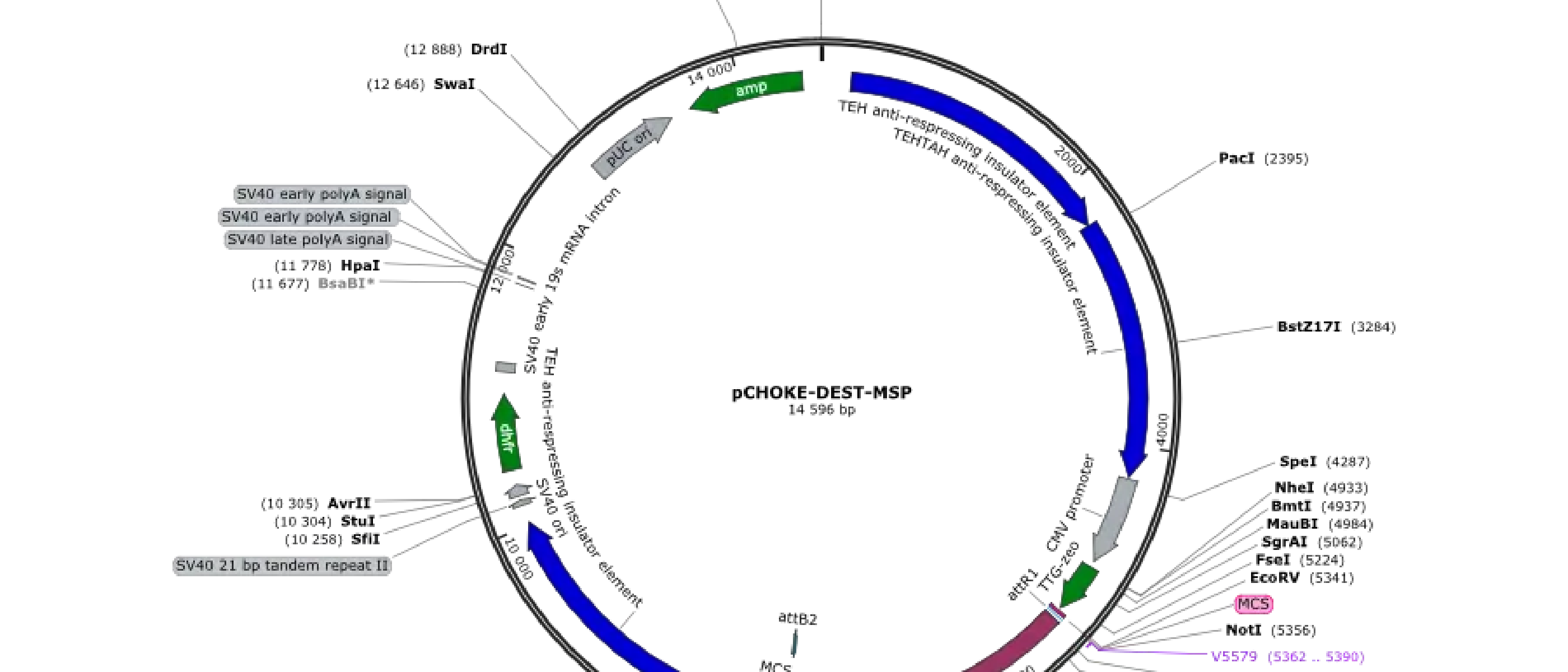 2-week Lab Course
