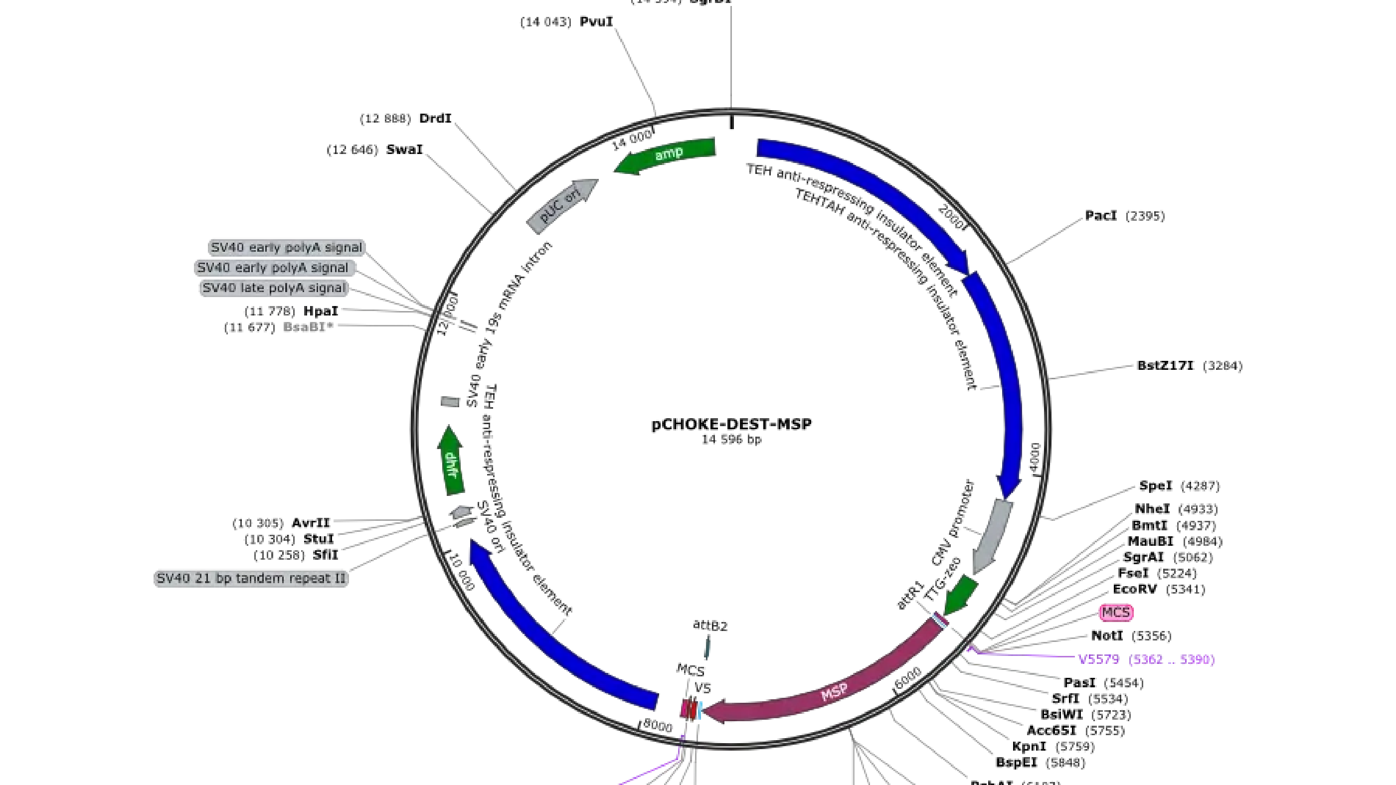 2-week Lab Course