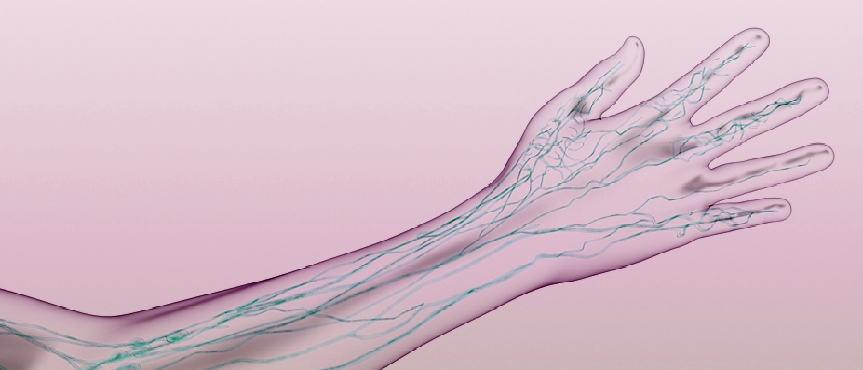 Lymphologie 2019