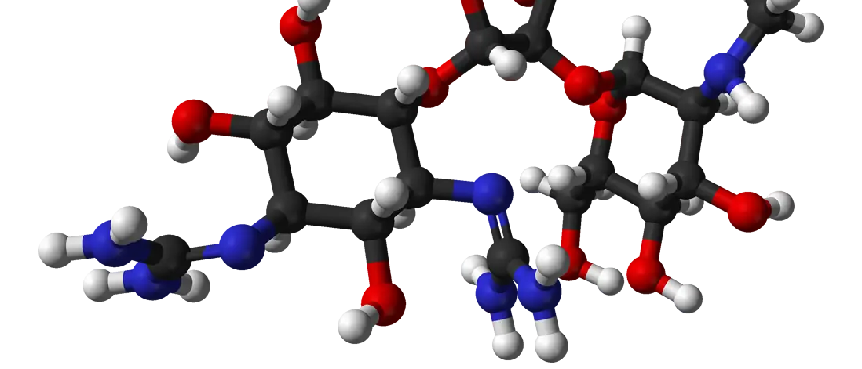 Resistance to streptomycin and spectinomycin