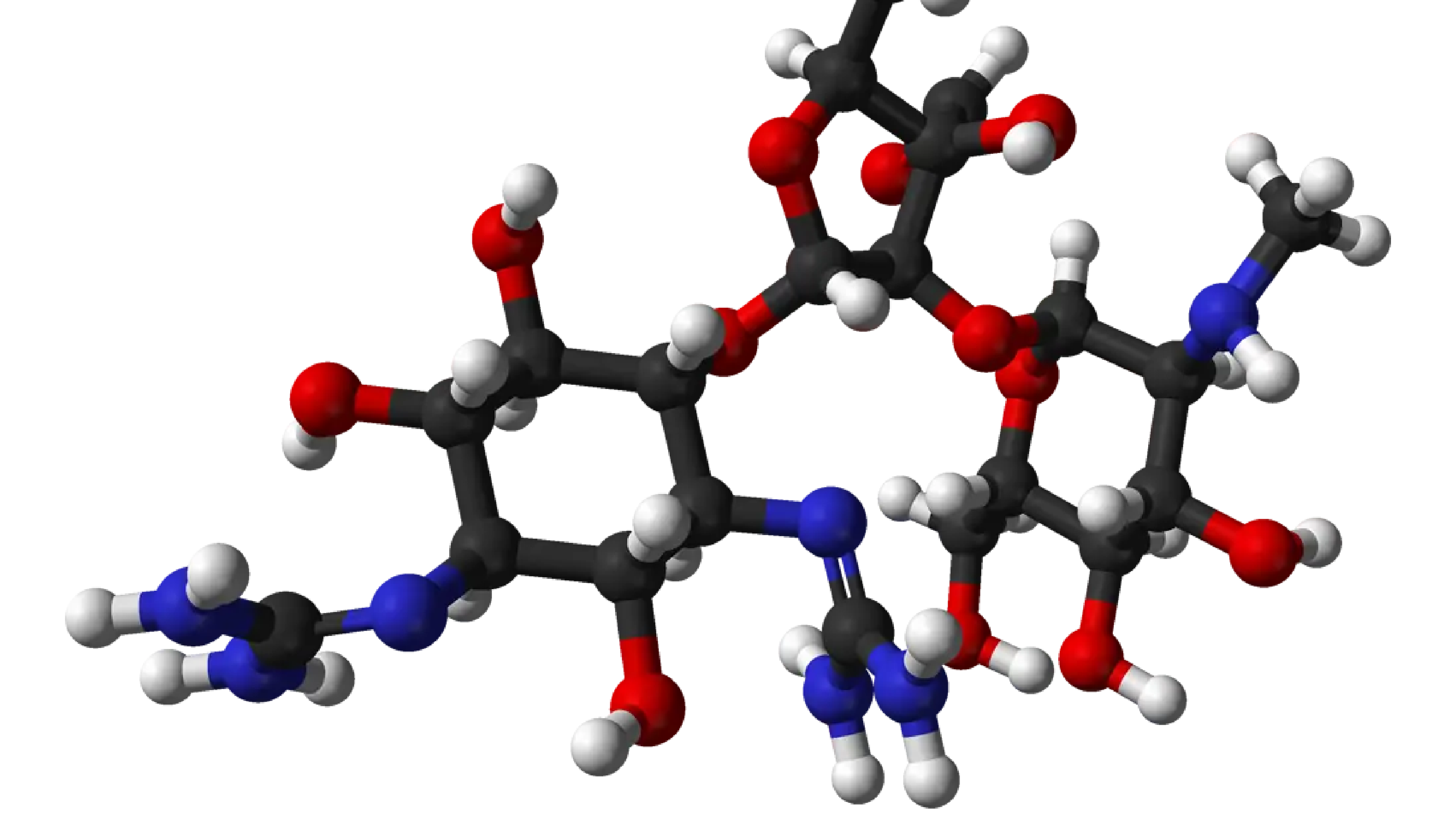 Resistance to streptomycin and spectinomycin