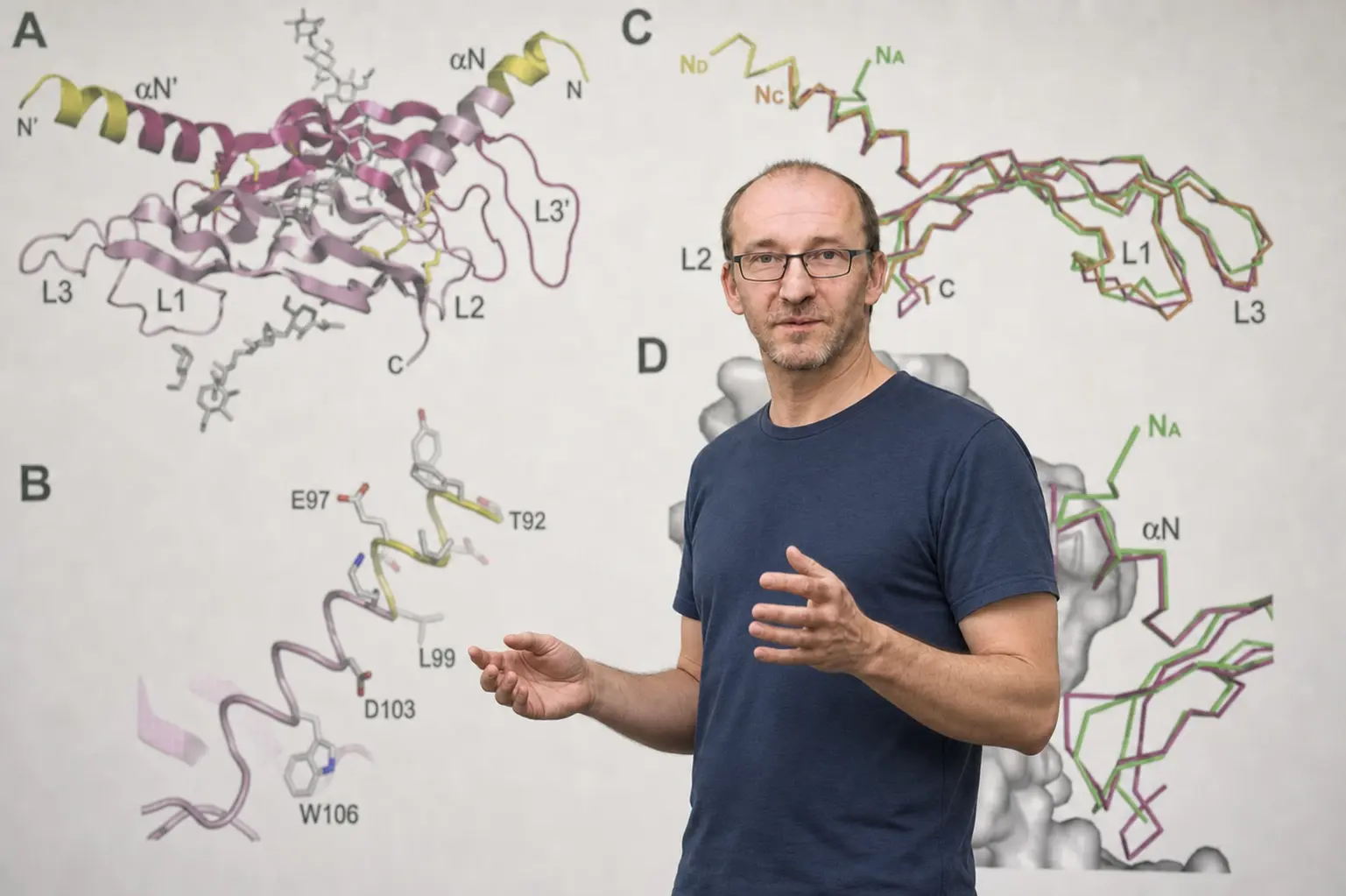 Teaching: Protein structure