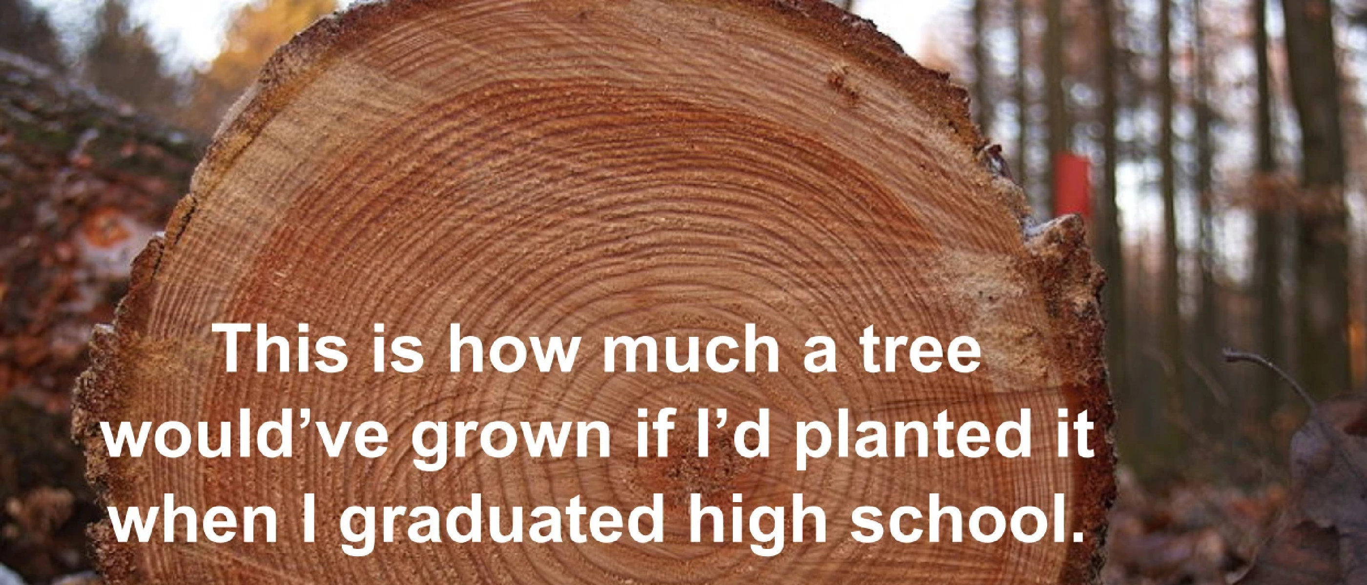 Academic career