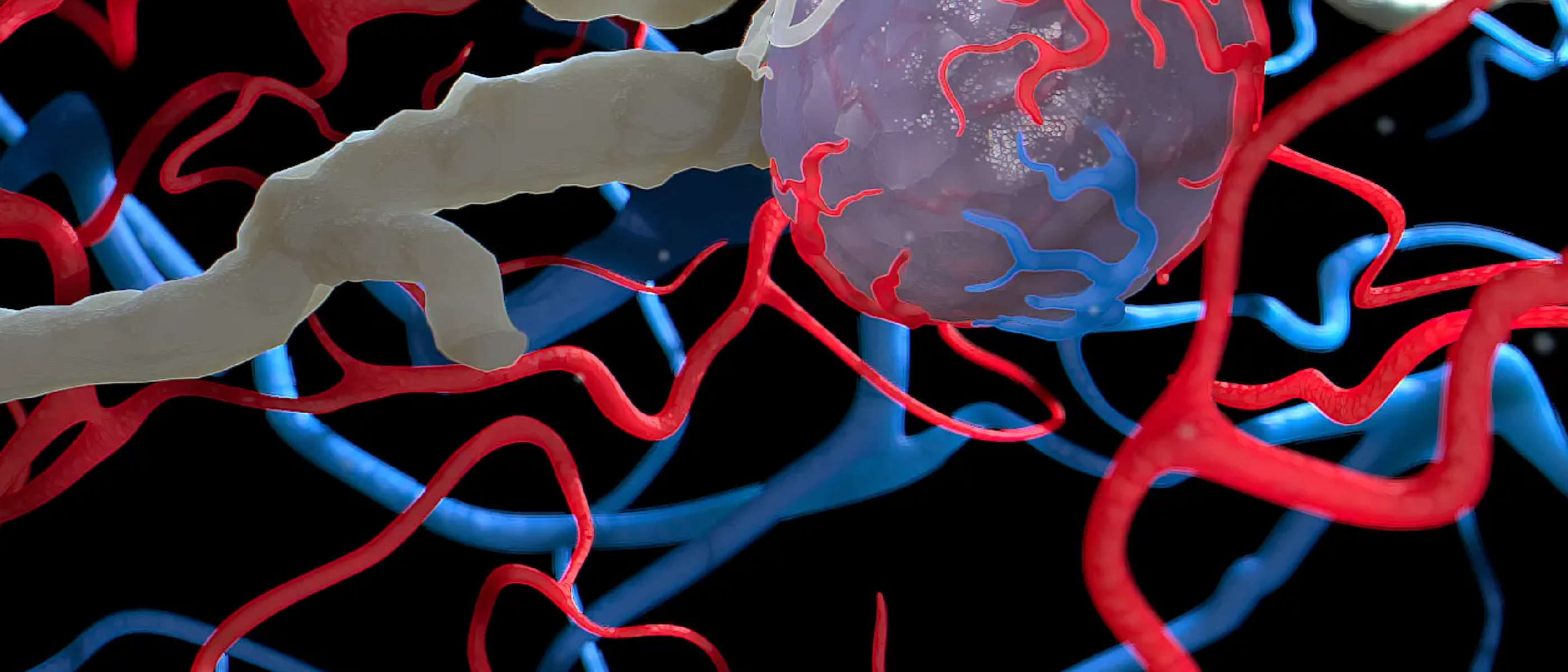 3. Swiss Lymphsymposium