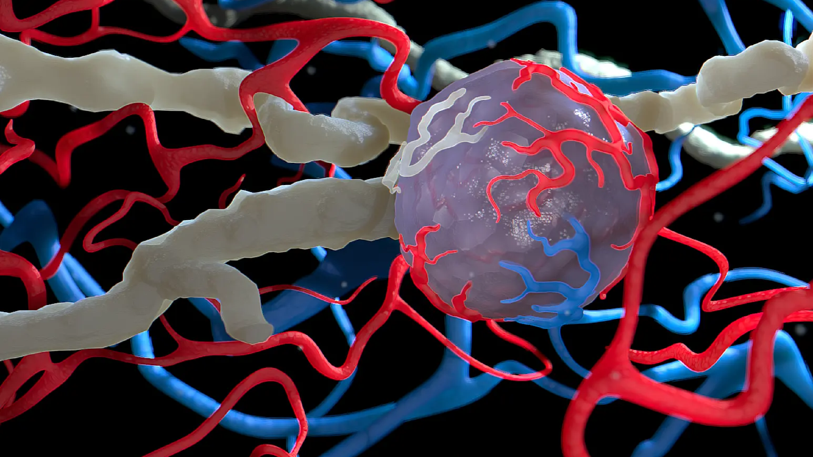 3. Swiss Lymphsymposium