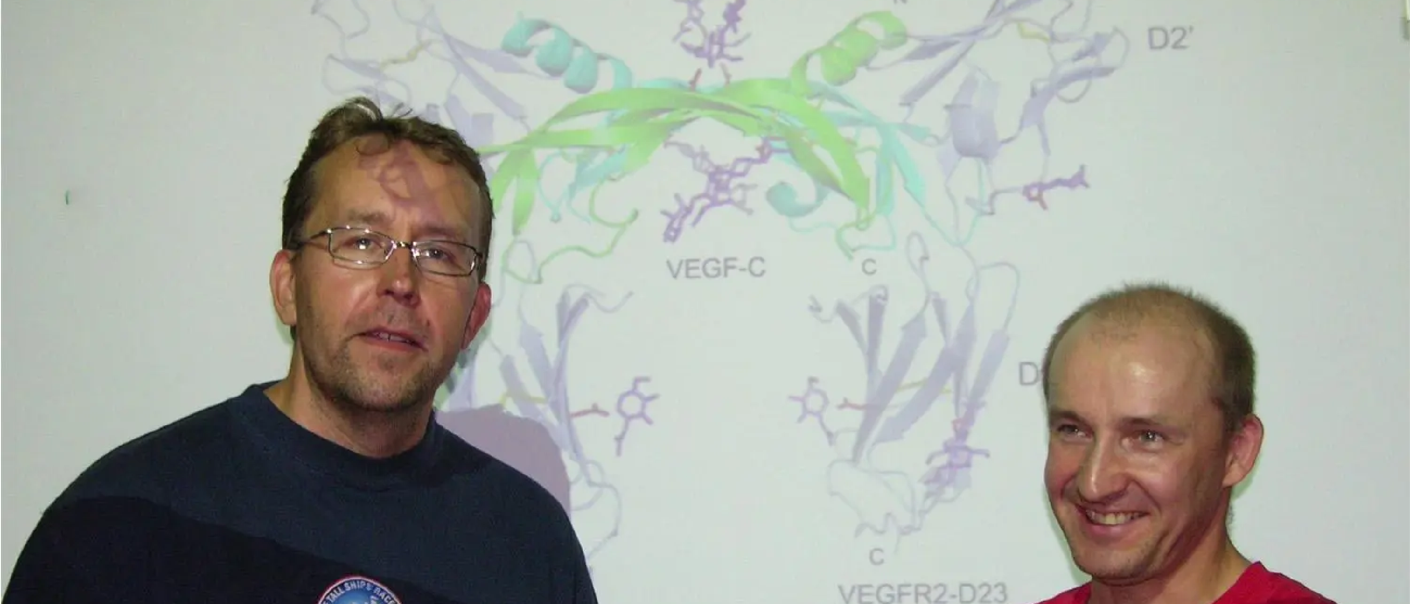 VEGF-C/VEGFR-2 complex structure took 13 years to solve