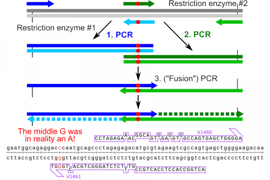Impossible overlap extension PCR