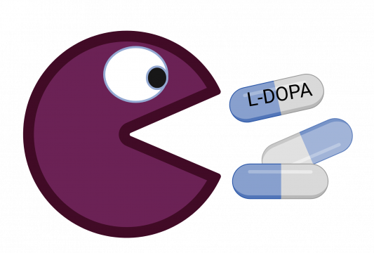 Gut bacerium eating levodopa (Saku Reunanen)