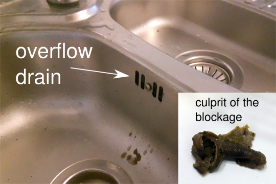 How to Clean and Unclog a Kitchen Sink Drain (DIY)