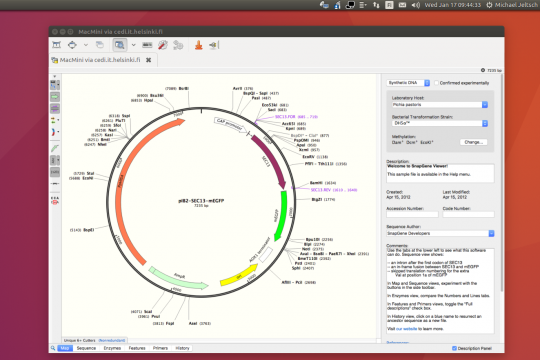 SnapGene running remotely