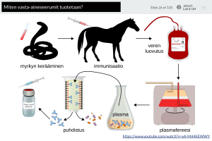 Slide from the antibody lecture (FARM-310)