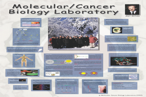 1999 (Science Fair Poster): Projects in the Molecular/Cancer Biology Laboratory