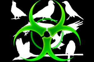 Birds & Biohazard