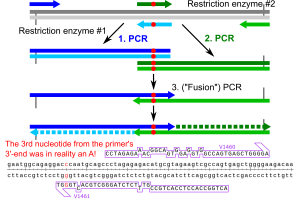 Impossible overlap extension PCR