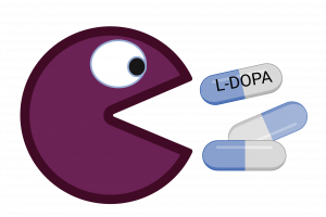 Gut bacerium eating levodopa (Saku Reunanen)